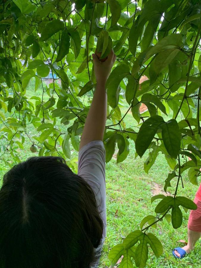 Pai Bjooc Homestay Tuyen Quang Exteriör bild