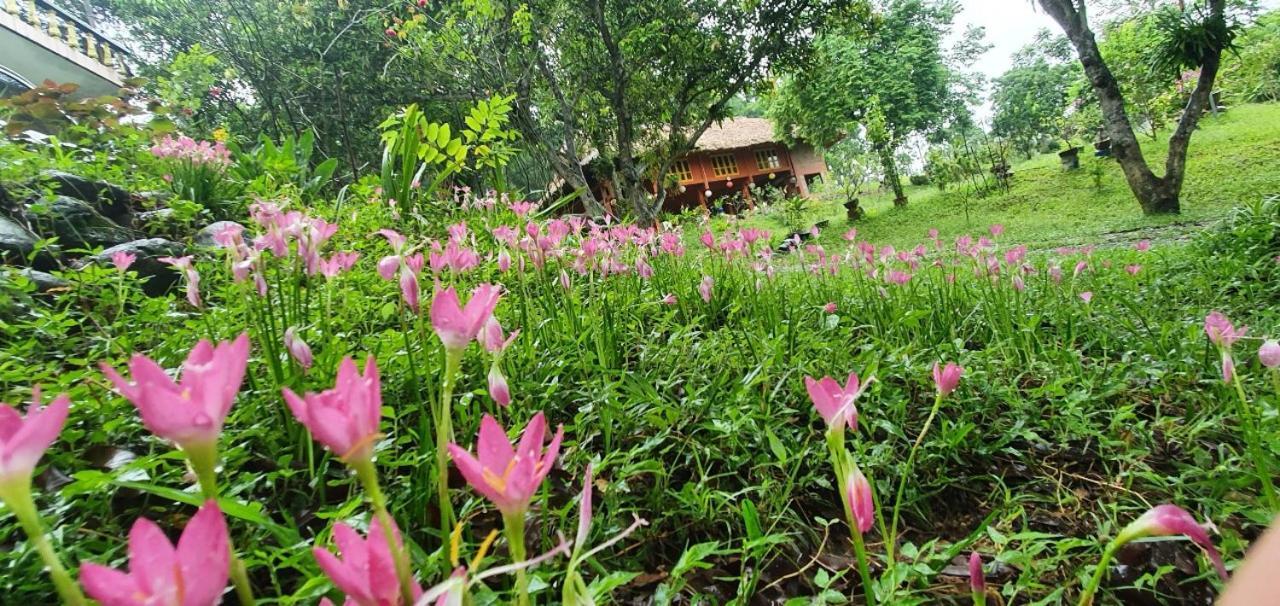 Pai Bjooc Homestay Tuyen Quang Exteriör bild
