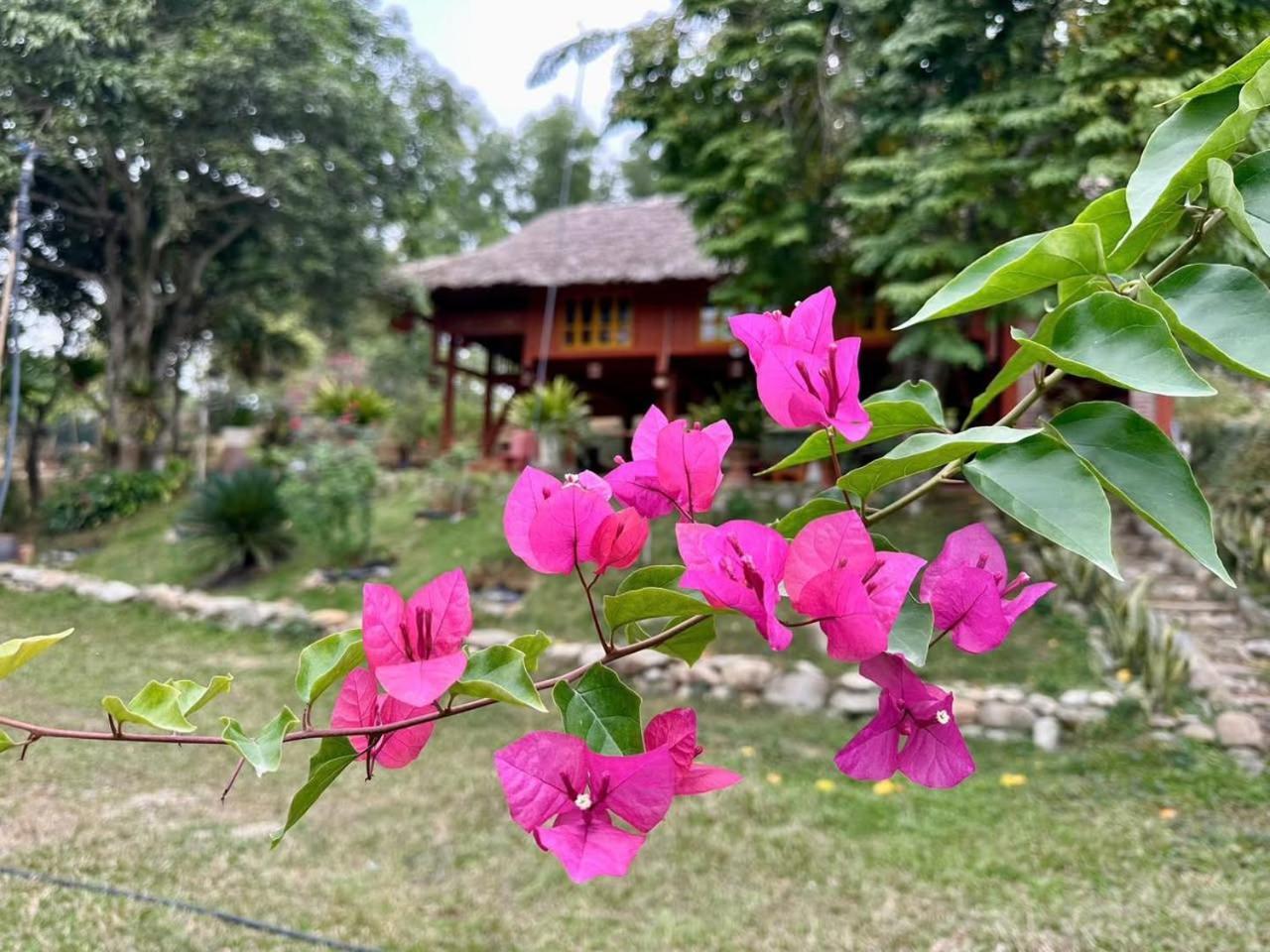Pai Bjooc Homestay Tuyen Quang Exteriör bild