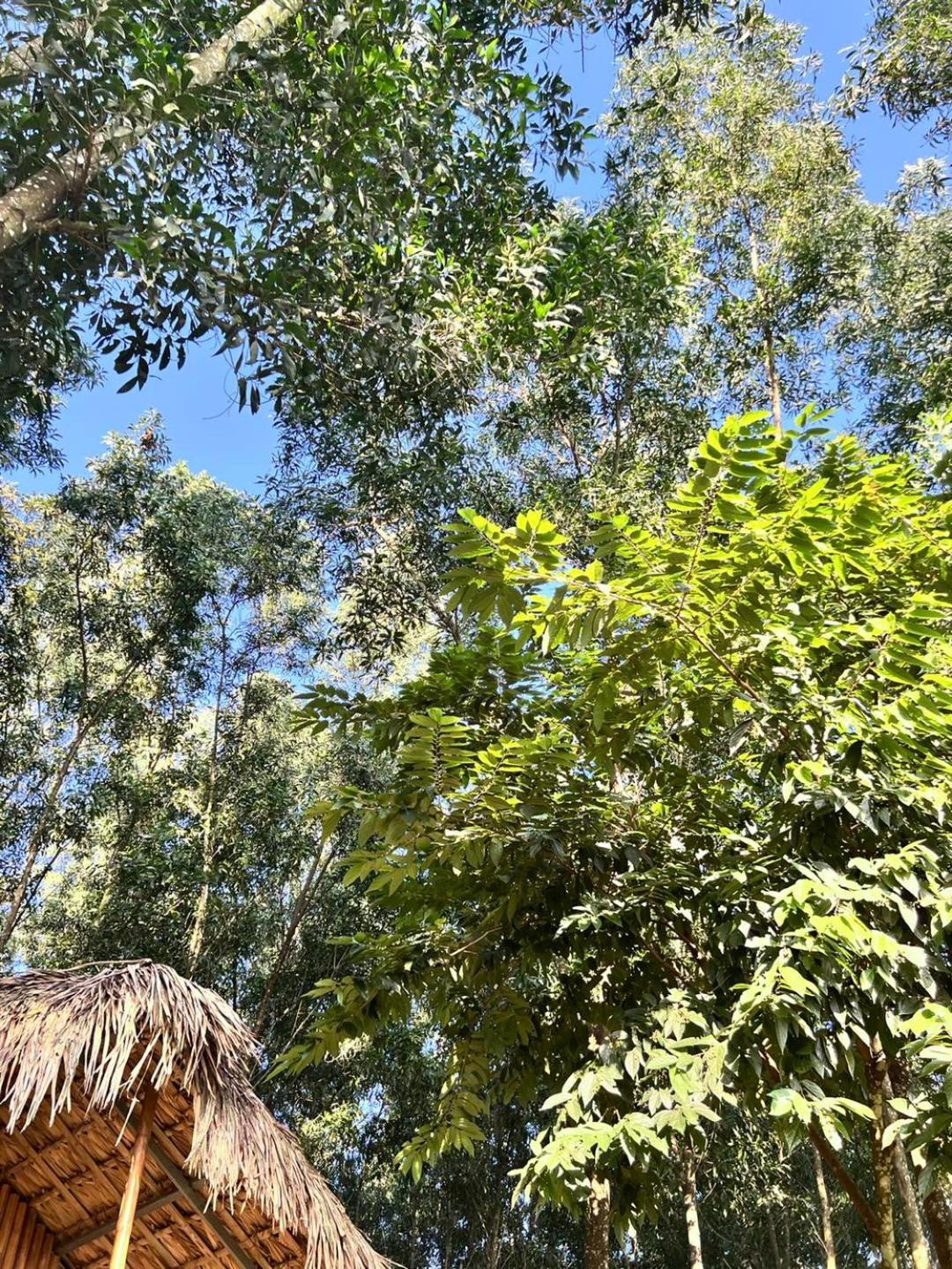 Pai Bjooc Homestay Tuyen Quang Exteriör bild